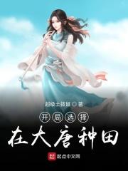 开局在大唐种田