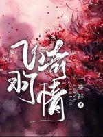 歌曲飞羽