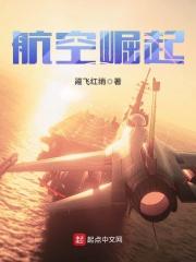 崛起之航空时代