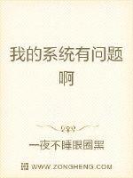 系统有问题怎么办