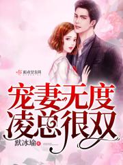 宠妻无度姜玲珑txt