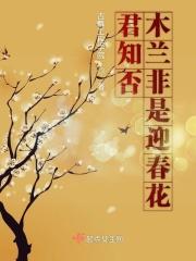 木兰花春怨朱淑真