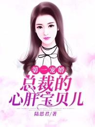 第一宠婚总裁的心肝宝儿415集免费阅读