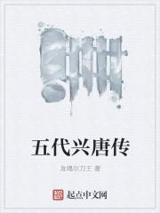 兴唐传目录