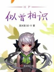 似曾相识作者