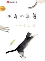 她们的歌歌词
