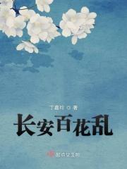 长安乱什么意思