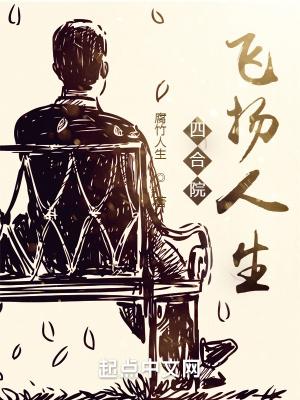 四合院飞扬人生腐竹人生