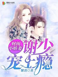财阀小轿妻谢少宠上瘾免费阅读