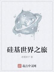 硅基是什么东西