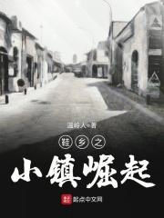 鞋乡之小镇崛起笔趣阁