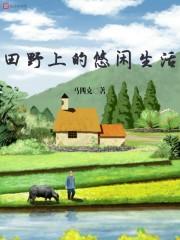 田野上的景象