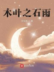 木叶之石雨起点