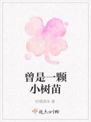 是一棵树