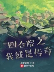 四合院之我就是传奇免费阅读