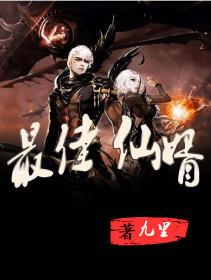 至尊神婿全集
