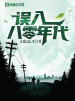 误入八零年代 第100章