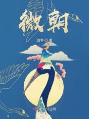 微朝晨昏免费阅读无弹窗