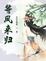 等风来歌