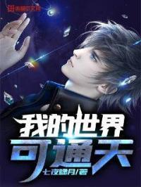 我的世界我的天