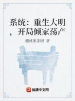 大明开局成为系统