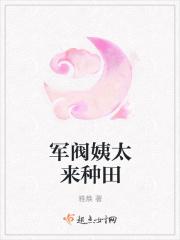 军阀姨太太电视剧有哪些