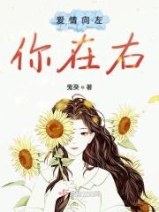 爱情向左我向右文章