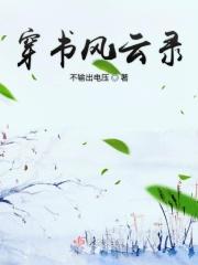 穿越风云录乐文网