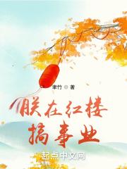 我在红楼做臣