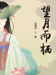 望月意思