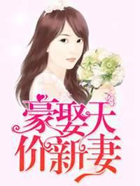 豪娶天价新妻完整版免费
