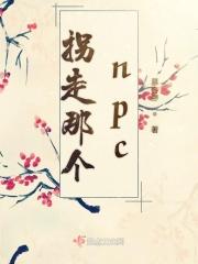 拐了npc去修真txt