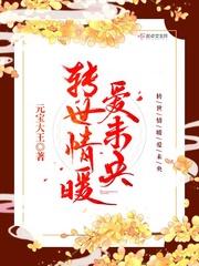 转世情缘剧情