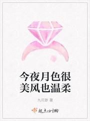 今夜月色很美歌词