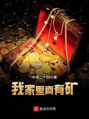 我家里真的有矿txt