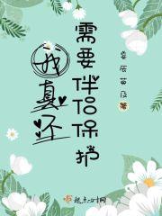 我真不需要伴侣保护你