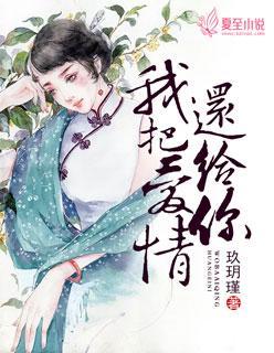 我把爱情全部还给你歌词