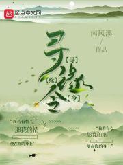 卿七全部