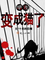 喵我变成猫了 十月的石榴
