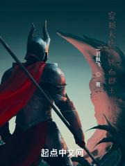 穿越大唐铁血郡王护国殇 一羽飘飞