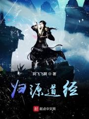 道本归元