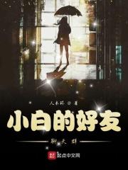 小白交流群