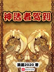 神选者实用性