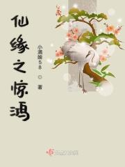 惊鸿仙子师傅
