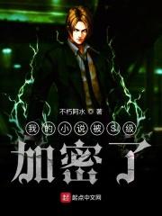 我被s级加密林易