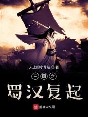 三国之蜀汉复兴txt