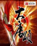 快穿之宿主他画风不对免费阅读