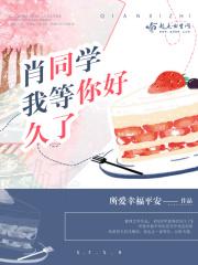 我喜欢你从未忘记是什么歌