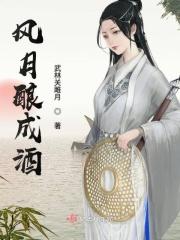 风月这首歌是哪个电视剧的曲子