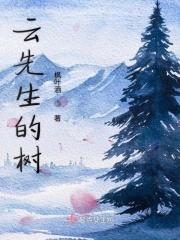 云从先生